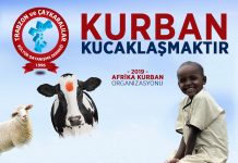 Kurban Bağışlarımız Afrika Çad'a